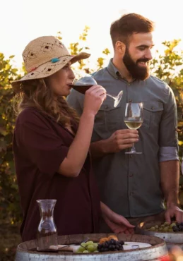 A man and a woman drinking wine at a winery tour